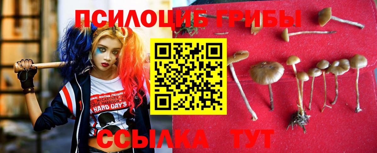 Псилоцибиновые грибы GOLDEN TEACHER Сыктывкар